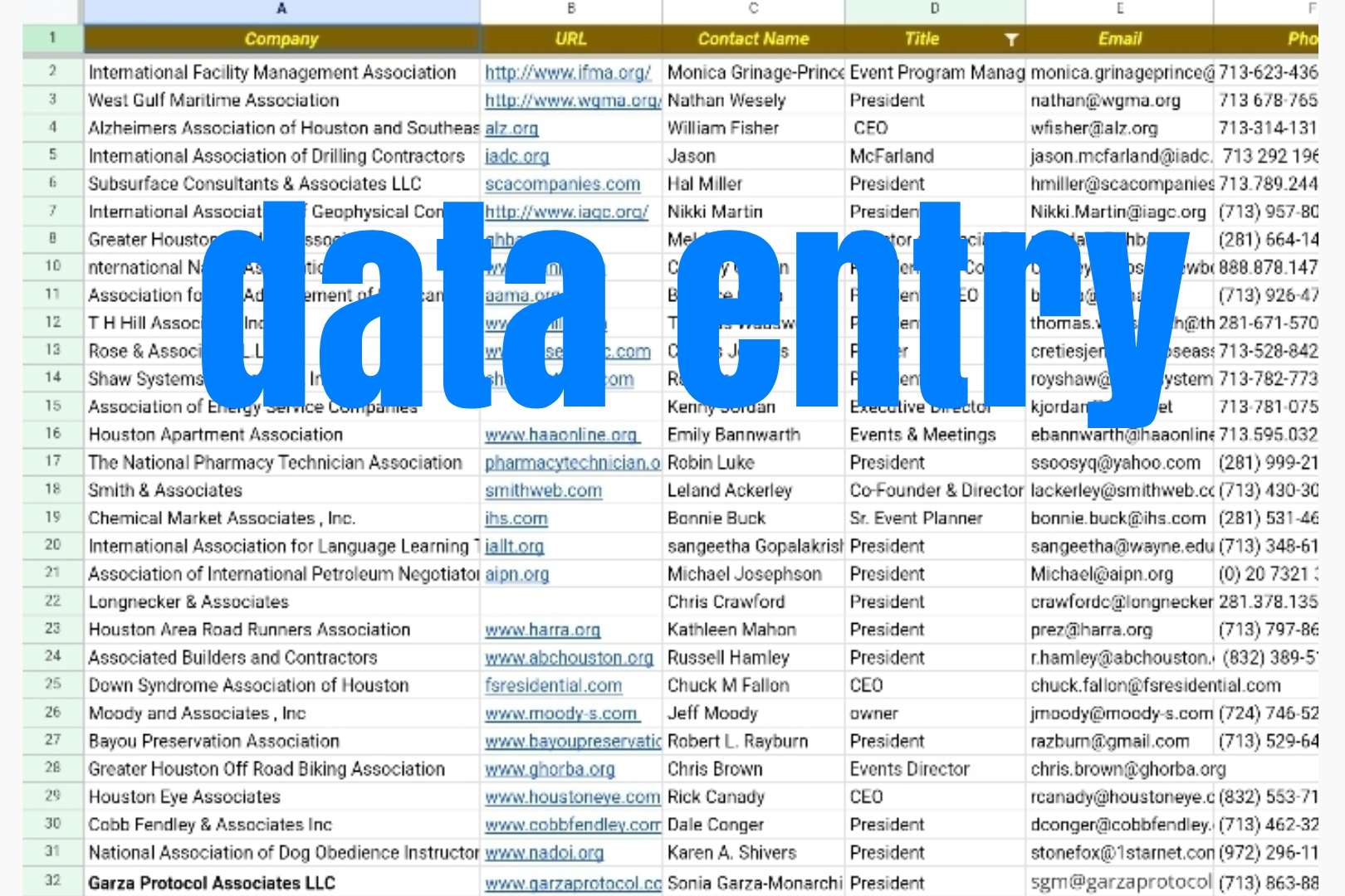 I will do data entry web research b2b lead generation...