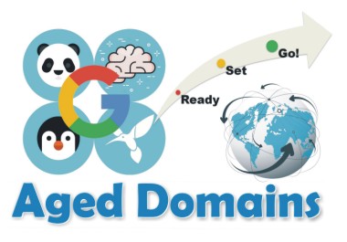 Premium Aged Domains for Instant Authority & SEO ...