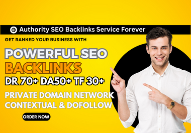 diversified off page seo backlink service with author...