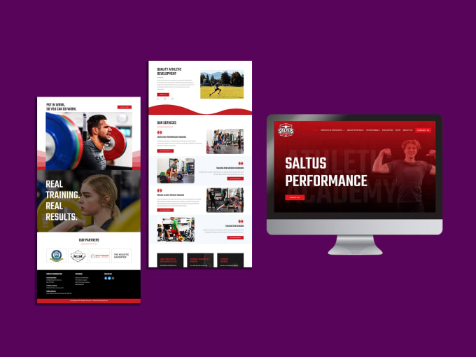 I will build a custom responsive WordPress website de...