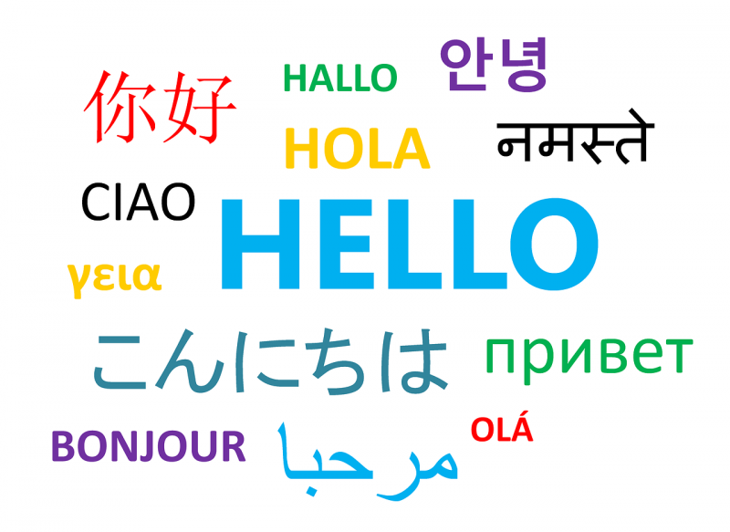I am a professional translator who provides my servic...