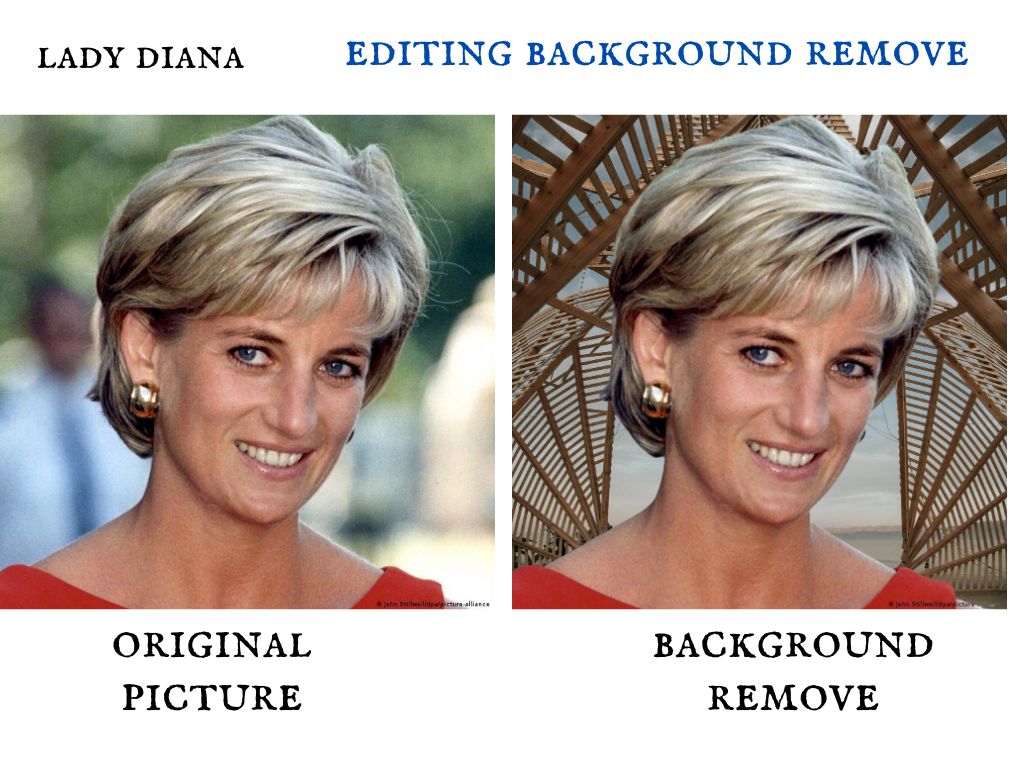 MY PROFESSIONALTIES ARE REMOVE & EDITING PICTURE ...