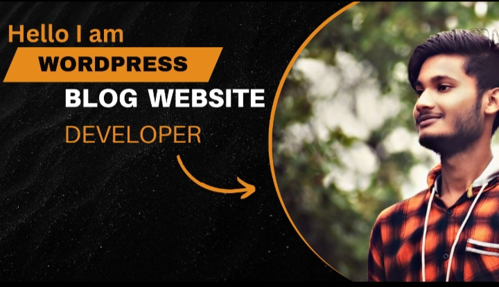 Build a wordpress website or wordpress blog website d...