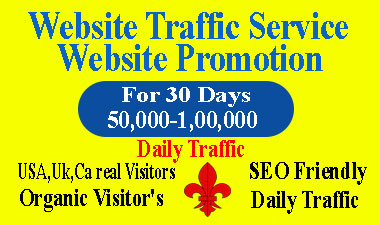I will do organic website visitors promotion for 30 d...