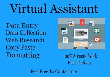 I will be your VIRTUAL ASSISTANT for Excel Data Entry...
