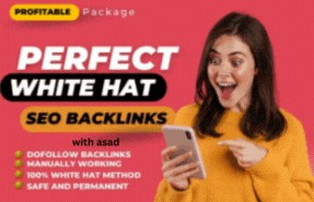 Hoist Your Website optimization with Our Master Backl...