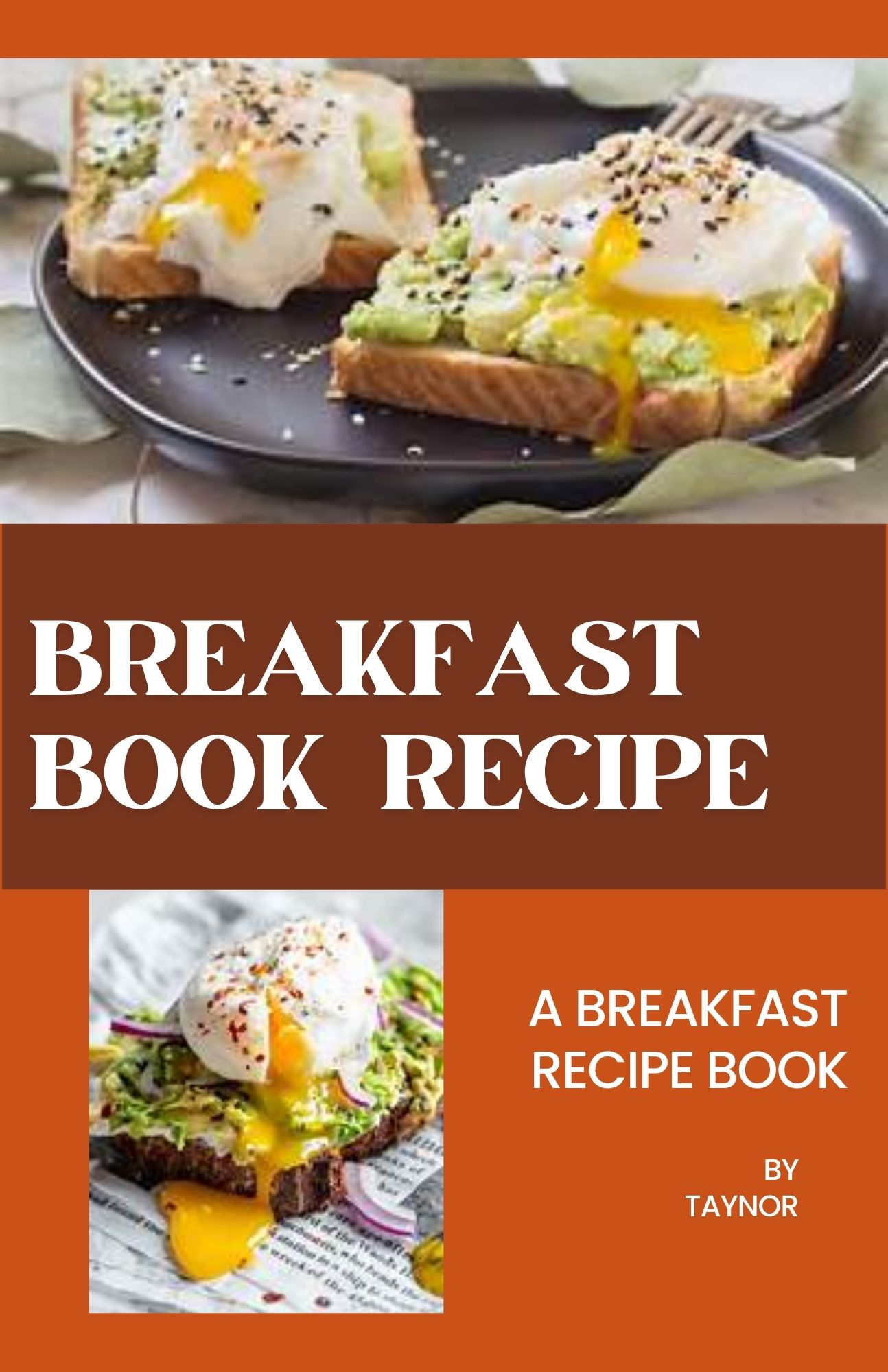 I will design pdfs ebooks, cover books using canva t...