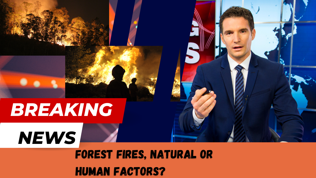 I can make professional thumbnail design using canva ...