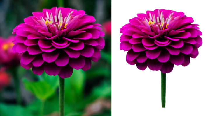 i will remove the background of 25 amazon and other p...