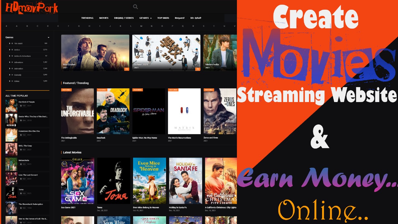 I will develop an autopilot movie website using wordp...