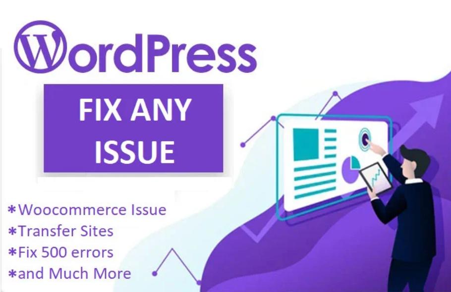 I will fix 33WordPress issues, WordPress problems, ...