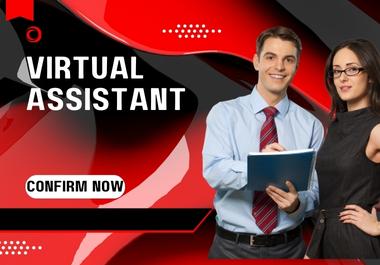 I will be your administrative virtual assistant, dat...