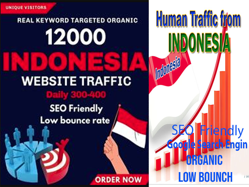 You will get website traffic Indonesia visitors to yo...