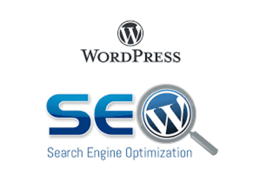 WordPress developer, Website Building, SEO, ON-Pag...