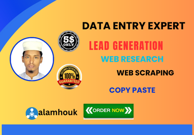 I will do data entry, web research, lead generation...