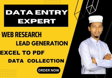 I will do data entry, web research, lead generation...