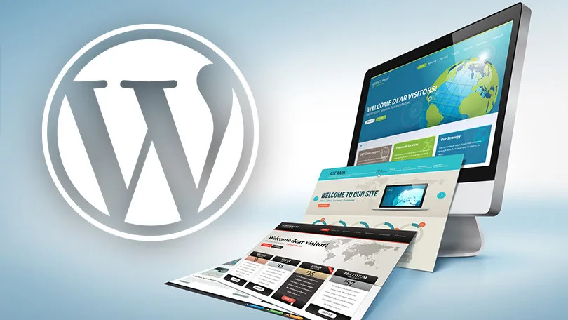 I will develop Wordpress site and plugin