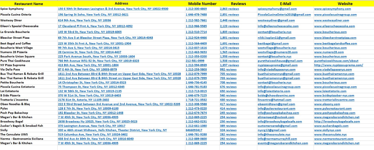 I will export unlimited apollo io lead generation for...