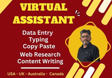 I will do professional virtual assistant for data ent...