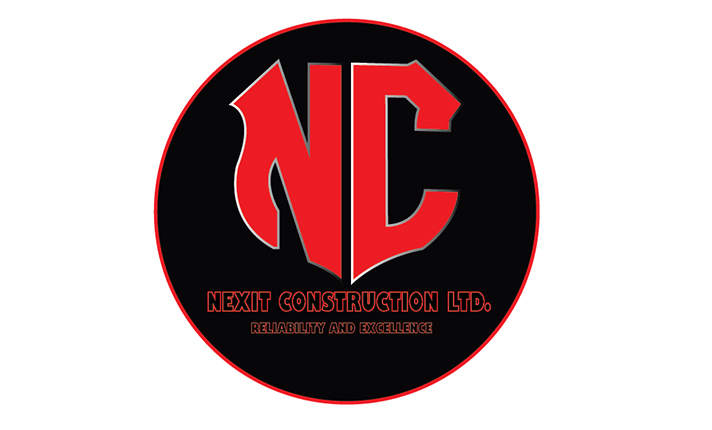 Professional Custom Logo Design For Companies
