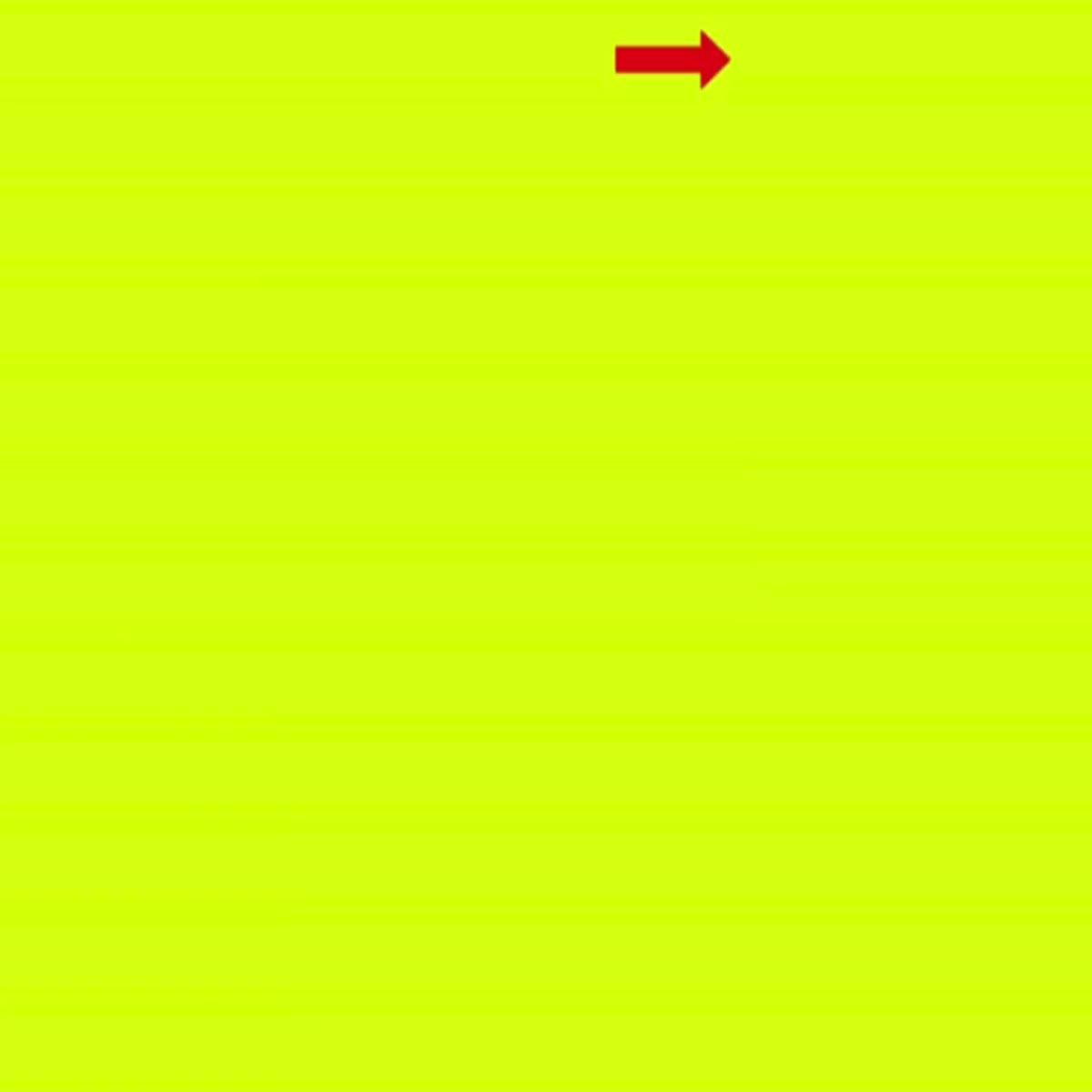 I will Professional Video Creation Service to Boost Y...