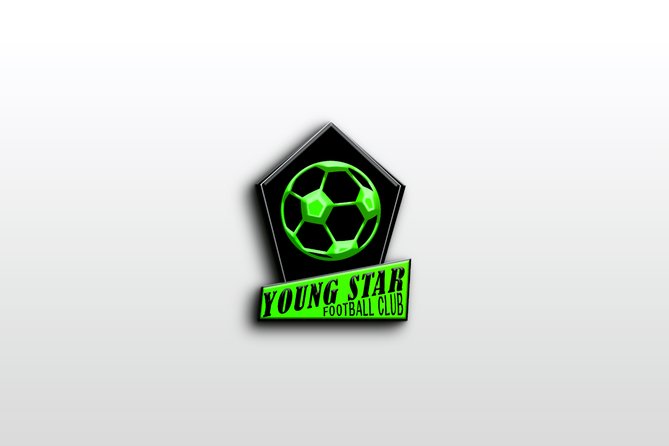 i can design professional 3d logos for your business ...