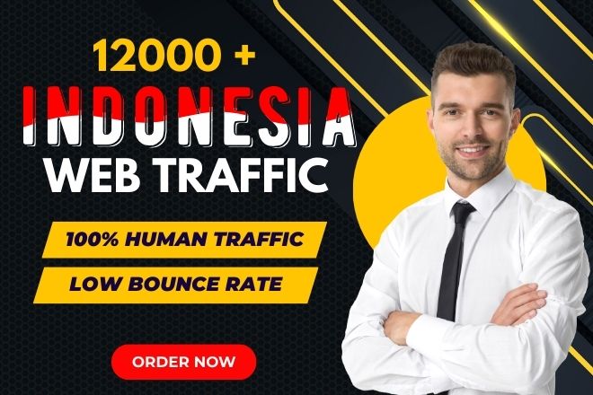 Get 12000+ targeted indonesia website traffic, web v...