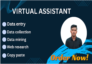 I will do data entry, copy paste, virtual assistant...