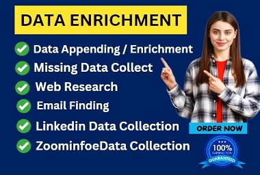 I will do advanced data appending enrichment and miss...