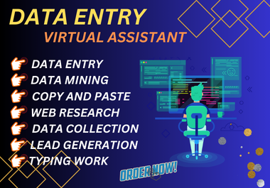I will do data entry, data mining and product listin...