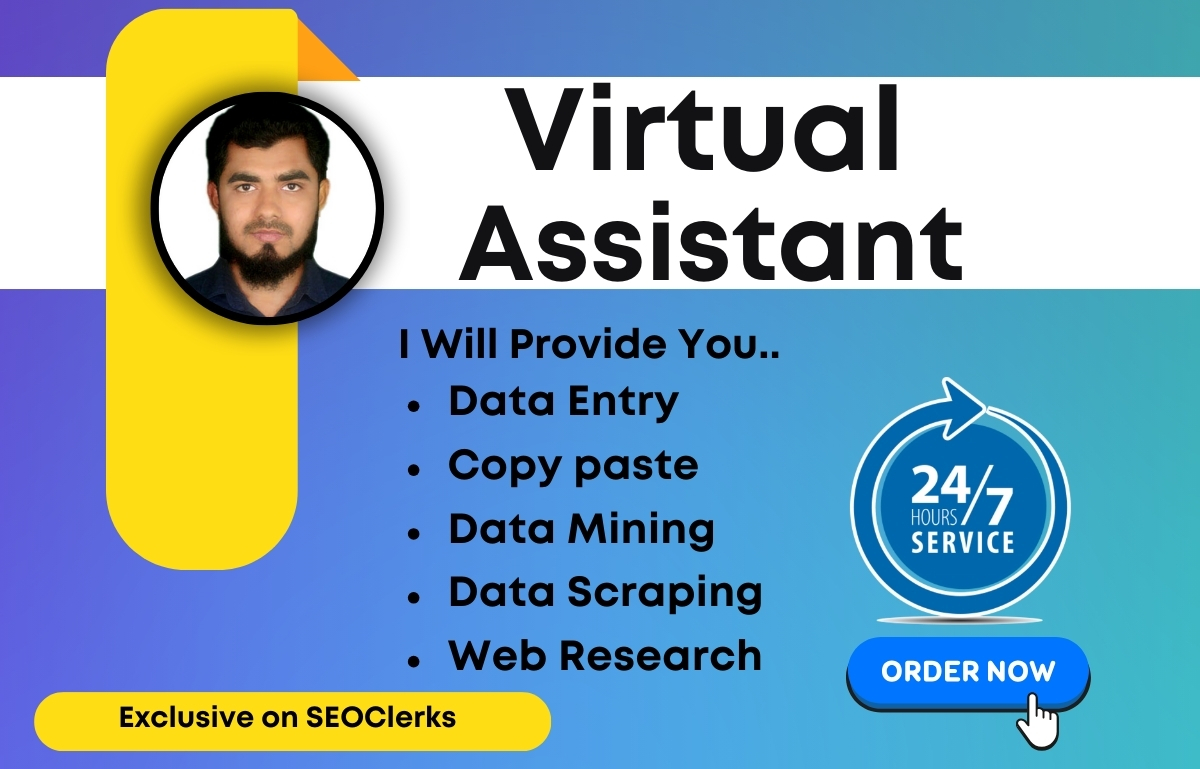I will furnish Virtual Assistant & Data Entry ser...