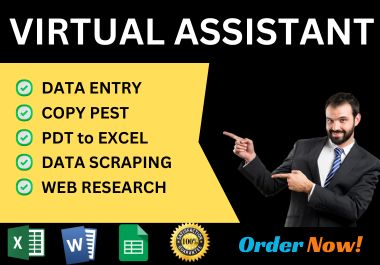 I will do Data Entry, Copy pest, PDF to Excel, Data s...