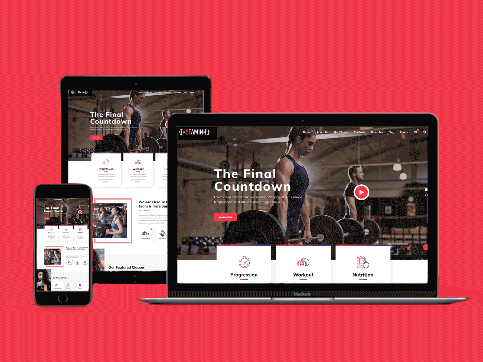 I will install wordpress theme, customize and import demo