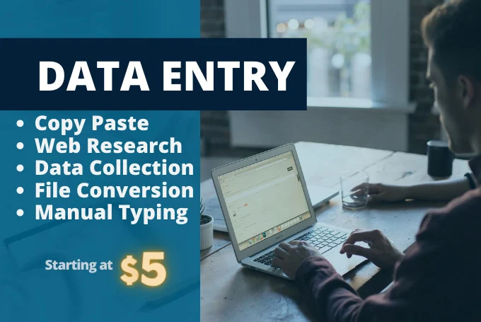 I will do accurate data entry, copy paste, web rese...