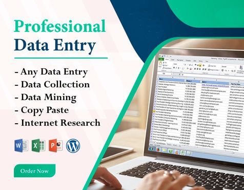 I will do fast data entry, internet research, data ...