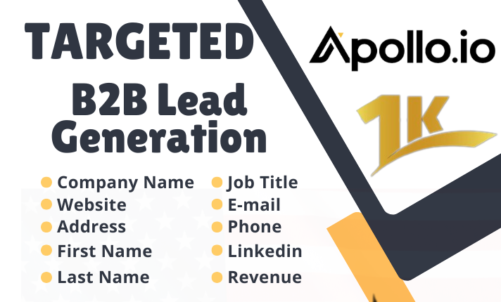 I Will Deliver You 1,000 Targeted B2B Lead Generation...