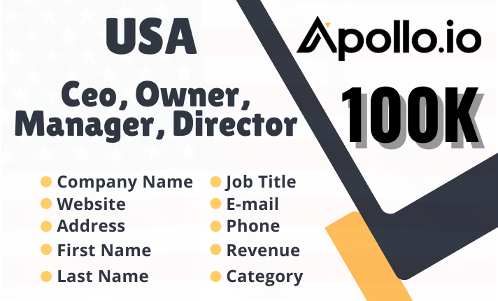 I Will Deliver 100K USA CEO Owner Director Manager Bu...