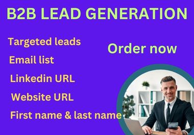 I will do a b2b lead generation email connection and ...