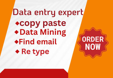 I will be your perfect virtual assistant for data ent...