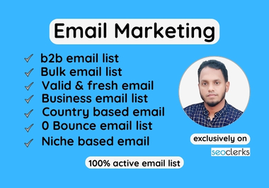 I will do niche targeted active valid 0 bounce and bu...