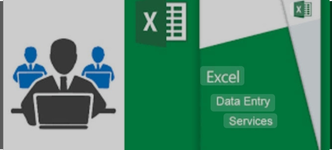 Excel data entry expert. Efficiency in managing data ...