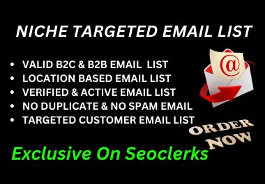 I Will build verified b2c email list niche targeted l...