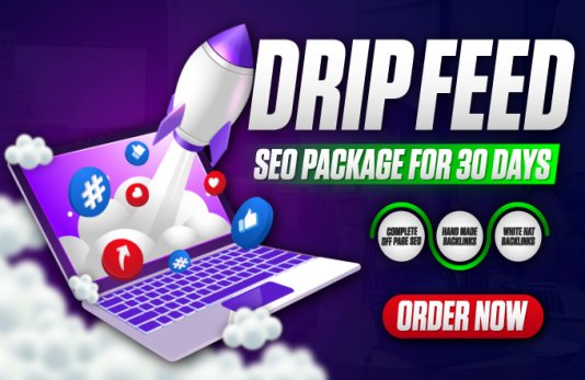 30 Days Drip Feed Manual Link building for your websi...
