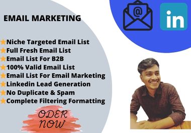 I will build niche targeted email list for email mark...