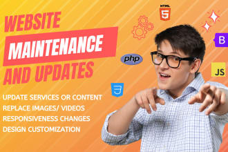 I will provide wordpress website maintenance, help a...