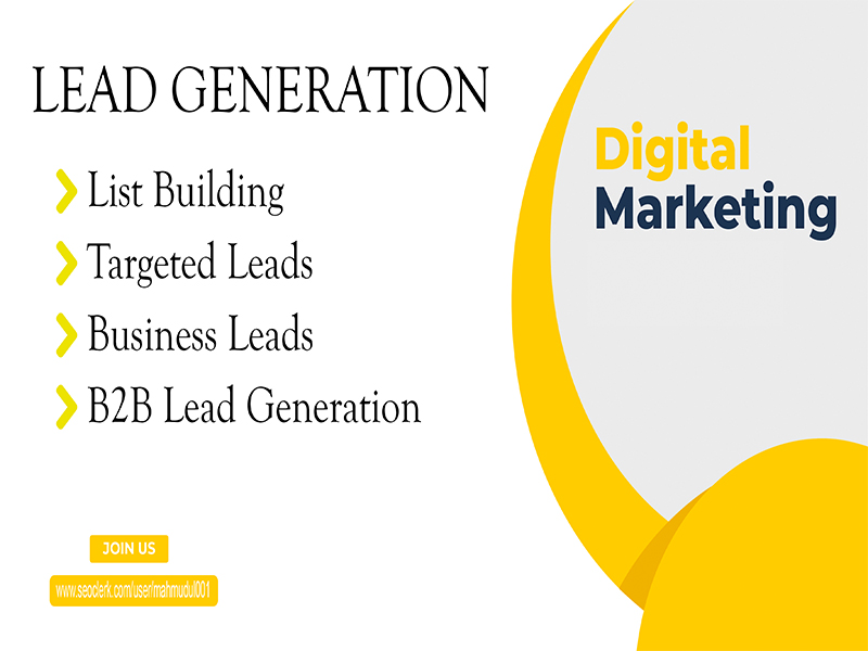 I can provide B2B Targeted Lead Generation, Email Li...