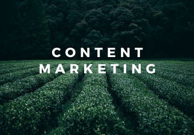 1000+ Words of Expertly Written, SEO-Friendly Blog P...