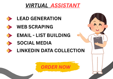 I will do web research, data entry any business emai...