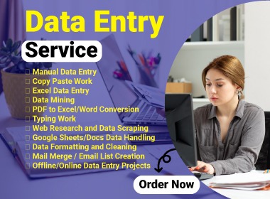 Data Entry Services with 100 Accuracy and On-Time Del...