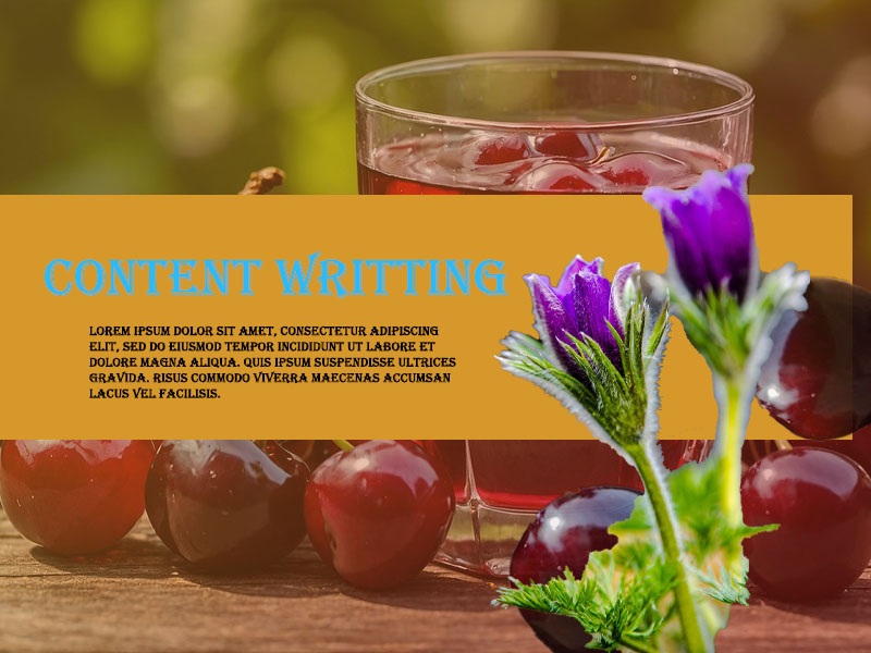 I will do content writing as an expert in this field ...